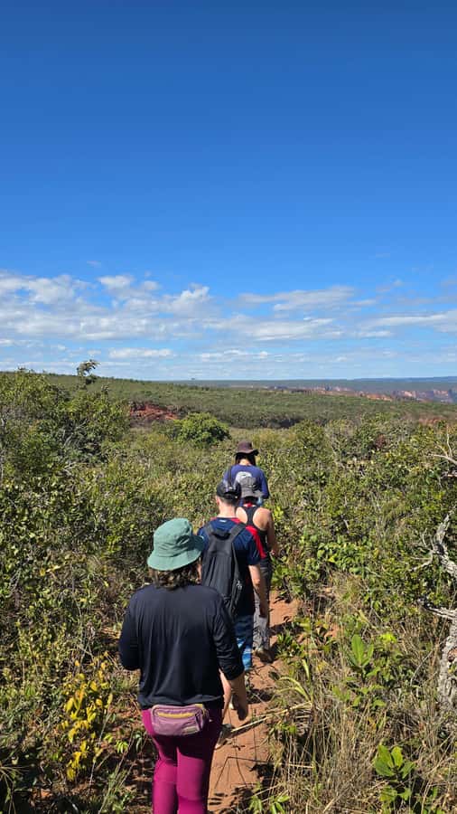Chapada dos Guimarães:Cidade de Pedra + Vale do Rio Claro with Véu de Noiva - Key points to know before booking