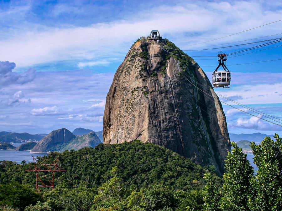 Christ the Redeemer and Escadaria Selarón Half-Day Tour - The ride through Tijuca rainforest to Corcovado