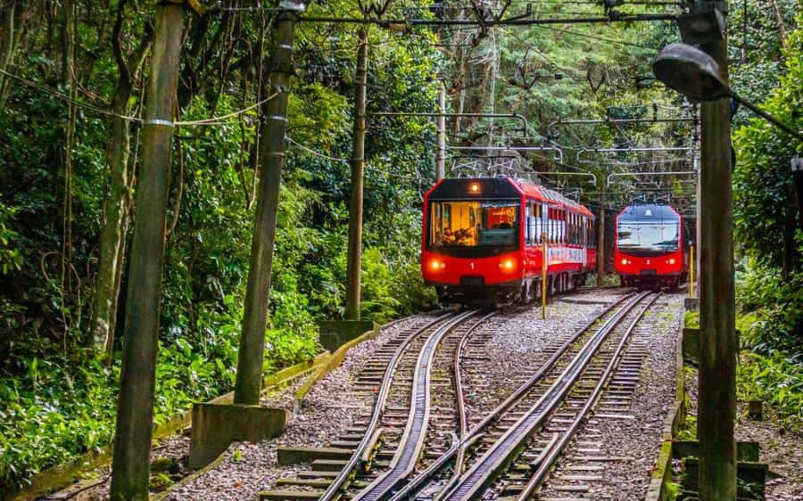 Christ the Redeemer Entry Ticket by Corcovado Train - Is $45 good value?