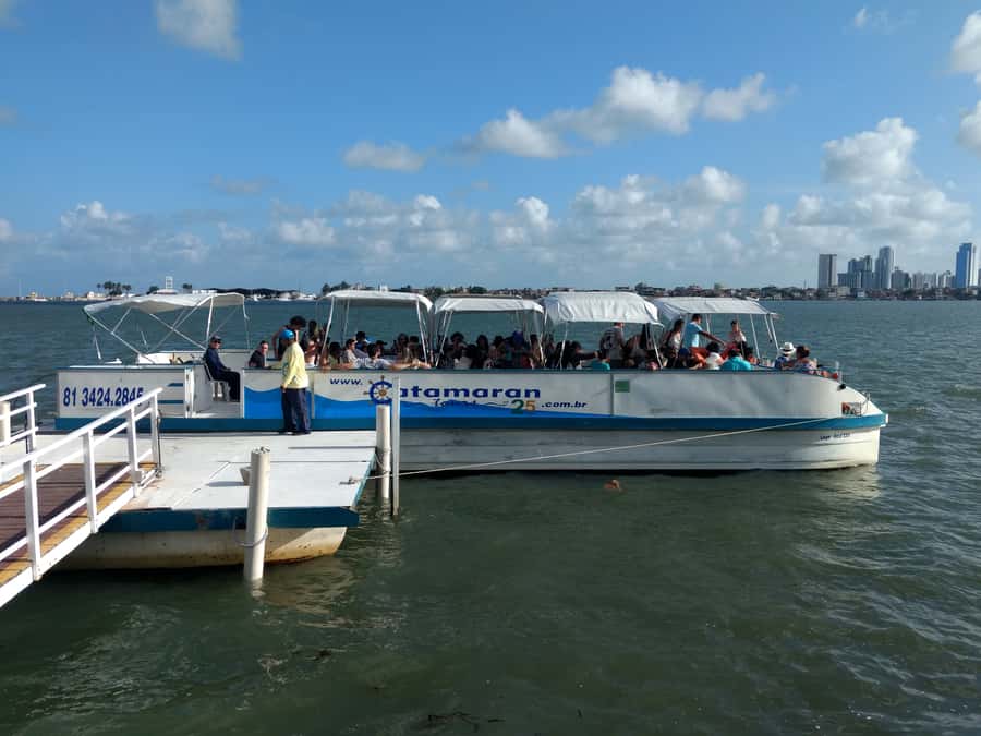 City Tour Recife with Catamaran included - Parque das Esculturas and the view toward Recife Antigo