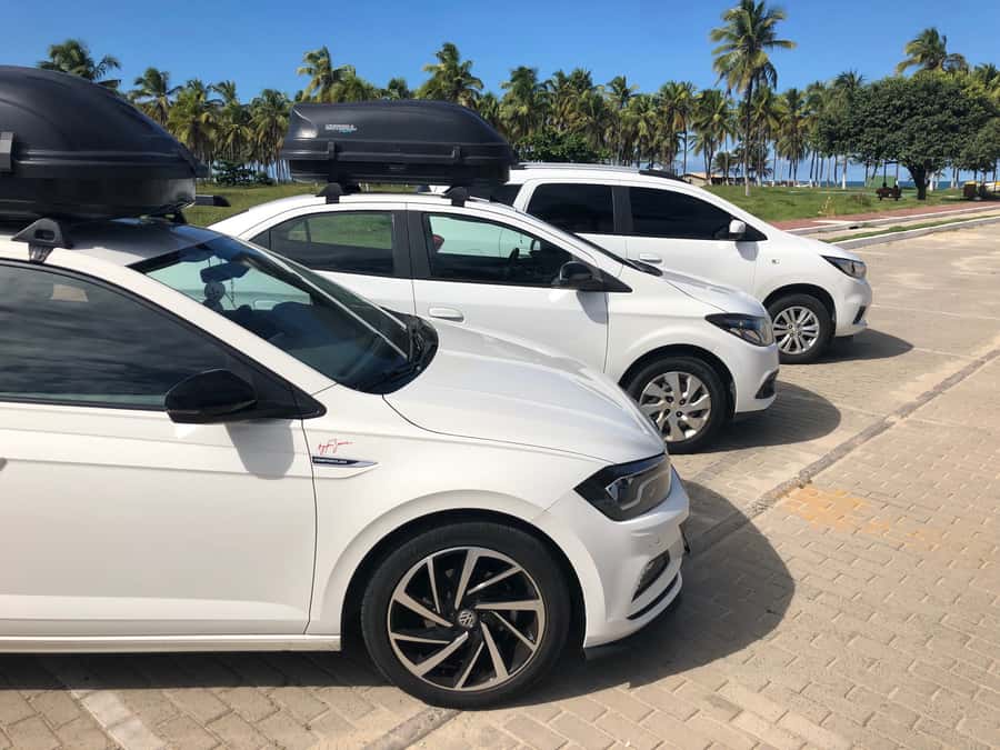 City Tour Recife with Catamaran included - Marco Zero Square, the city’s public front door