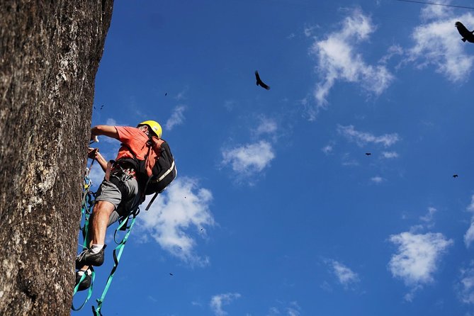 Climb Rio de Janeiro: Rock Climbing Tailored for All Levels - Picking the right route for your experience