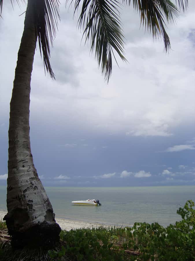 Colonial North Coast beaches - Full-Day Tour - Praia do Capitão and the Catamaran Praia Beach Club
