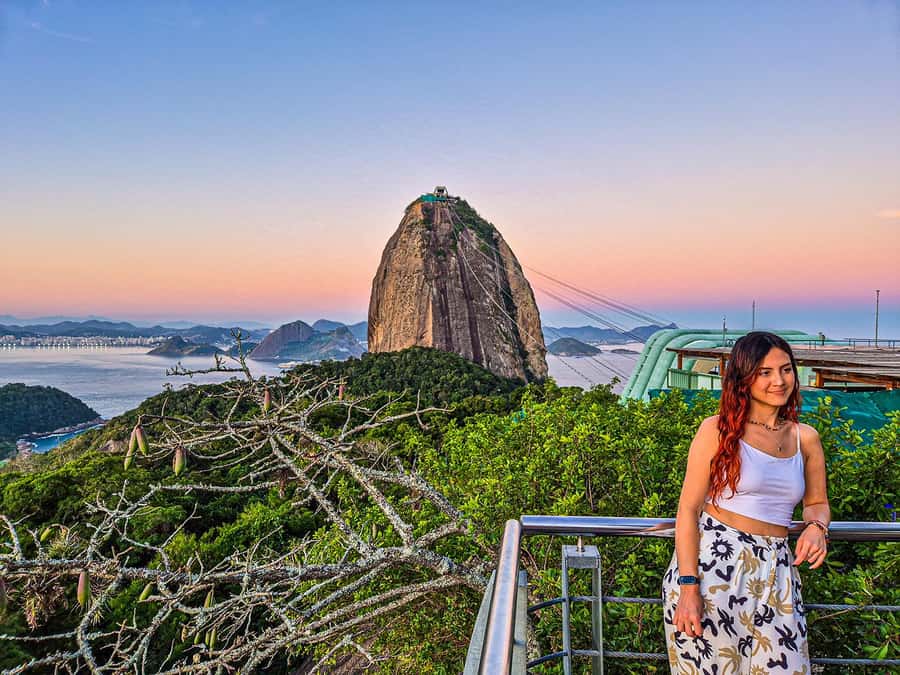 Corcovado, Sugarloaf Mountain, and Selarón Steps 6-Hour Tour - Price, flexibility, and booking details