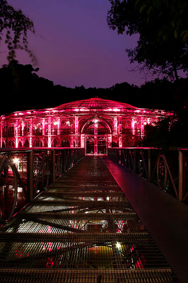 Curitiba: 4-Hour City-By-Night Tour with Dinner - Curitiba after dark, with dinner built in