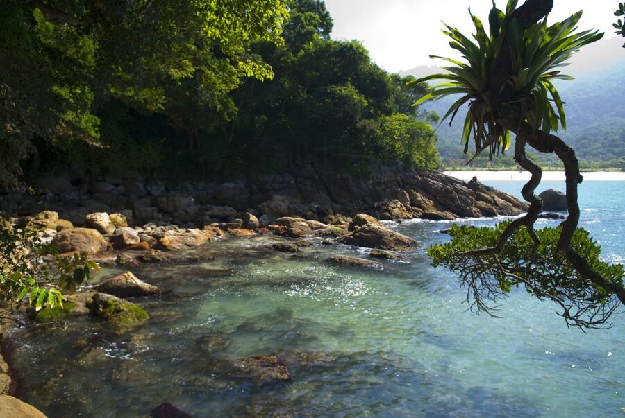Day Tour to Trindade: Nature and Sea Adventure from Paraty - Walking through the Atlantic Forest to Caixa D’aço