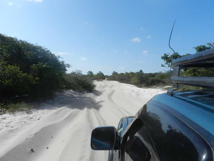 Day trip to Atins through the Lencois Maranhenses - Who Should Book This Day Trip