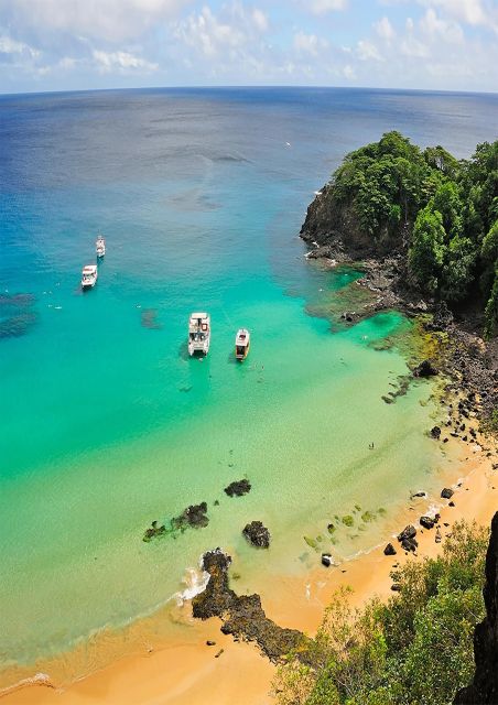 Discover Noronha: 7-Hour Ilhatour Adventure - Key points to know before booking