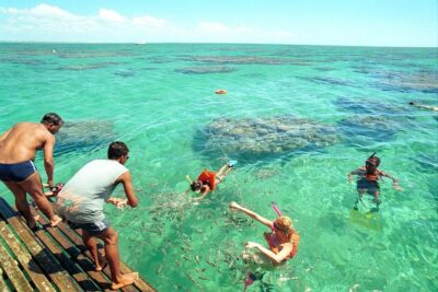 Discover Underwater Beauty: Explore Maracajaú’s Parrachos Reef