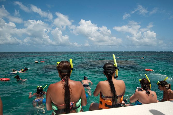 Discover Underwater Beauty: Explore Maracajaú's Parrachos Reef - FAQ