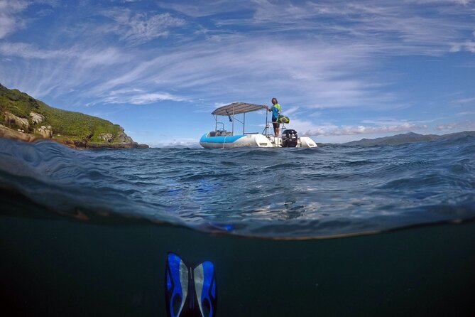 Diving with Turtles in Floripa - Key points to know before booking