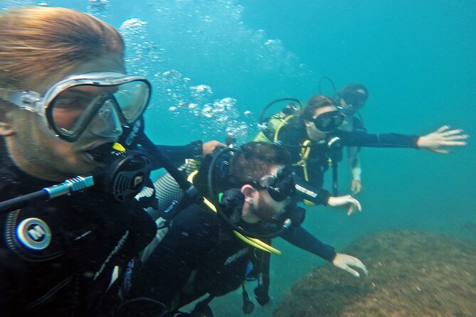 Diving with Turtles in Floripa - The guides make the difference