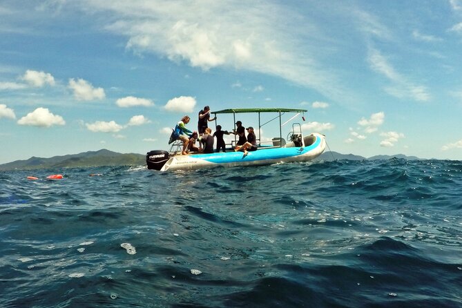Diving with Turtles in Floripa - Timing, comfort, and practical details