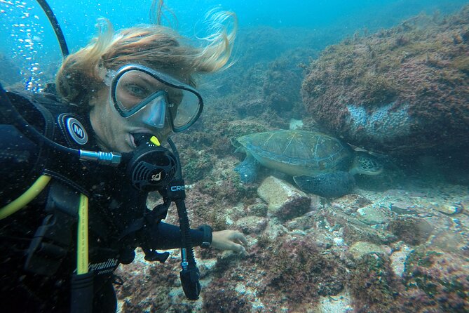 Diving with Turtles in Floripa - Xavier Island and the 30-minute underwater session