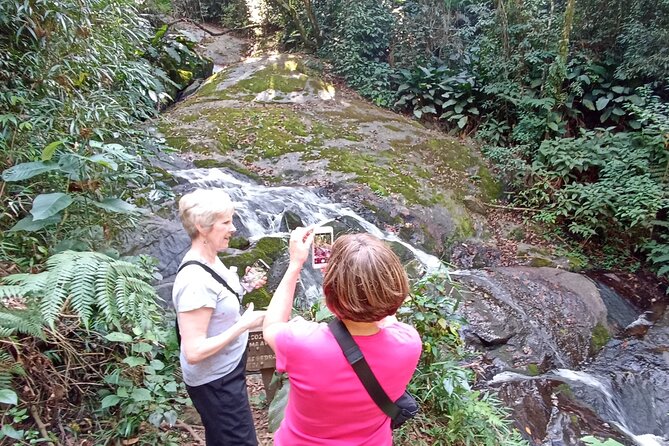 Ecological walk in sao paulo - A rainforest beside São Paulo