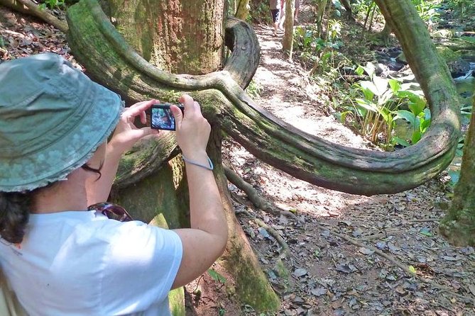Ecological walk in sao paulo - How the two stops fit together