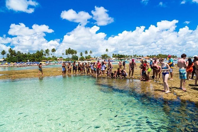 Excursion to Porto de Galinhas in Pernambuco - The early start from João Pessoa