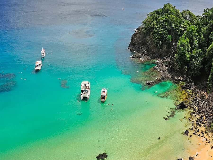 Explore Fernando de Noronha: 7-Hour Ilhatour - Key points to know before you go