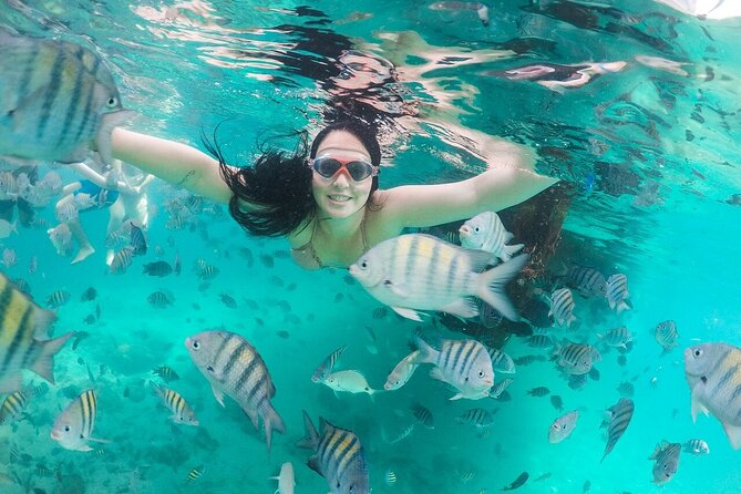 Exploring Angra Dos Reis and Ilha Grande in One Day - Japariz and the included Brazilian buffet
