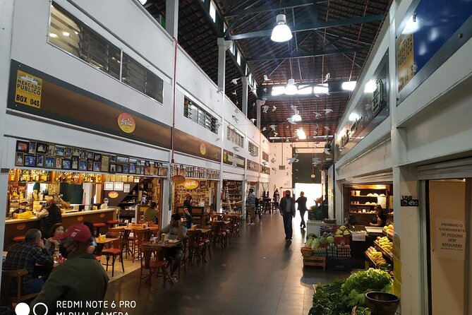 Florianópolis city tour (full day) - Morro da Cruz, the Hercílio Luz Bridge, and central Florianópolis