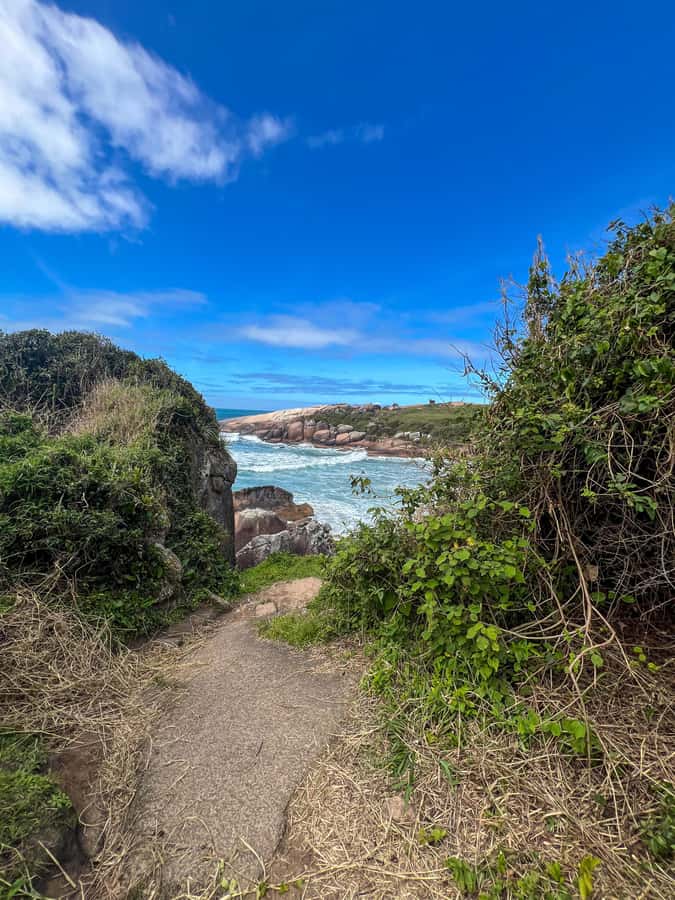 Florianopolis: Gravata Beach Trail with Picnic - Key points to know before you book