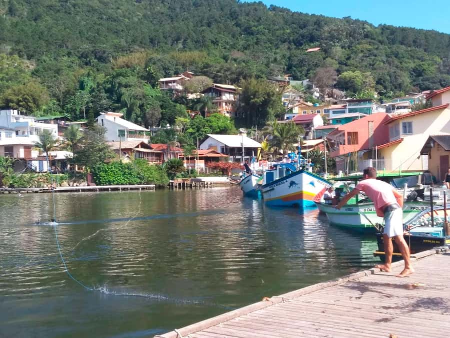 Florianópolis: Historical Center, Beach & Nature Tour - What this full-day Florianópolis route really offers