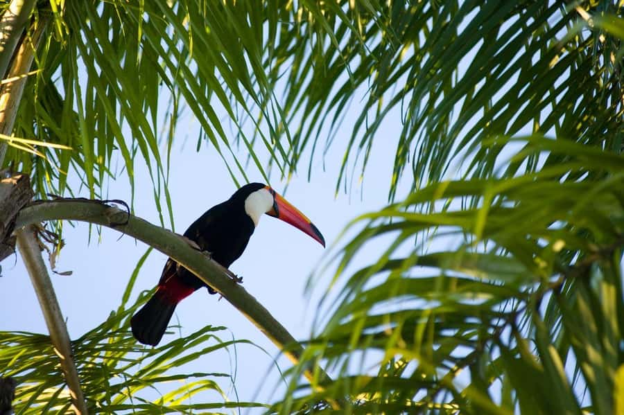 Florianopolis: Lagoinha do Leste Natural Park Hike - Is $80 a fair price?