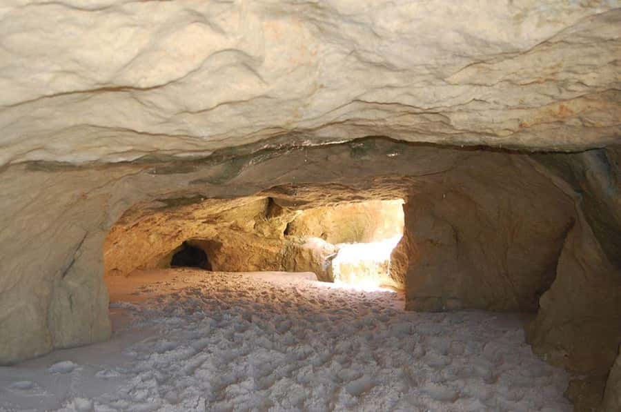 Fortaleza: Tour to Morro Branco and Fontes Beach - The buggy choice: adventure at an added cost