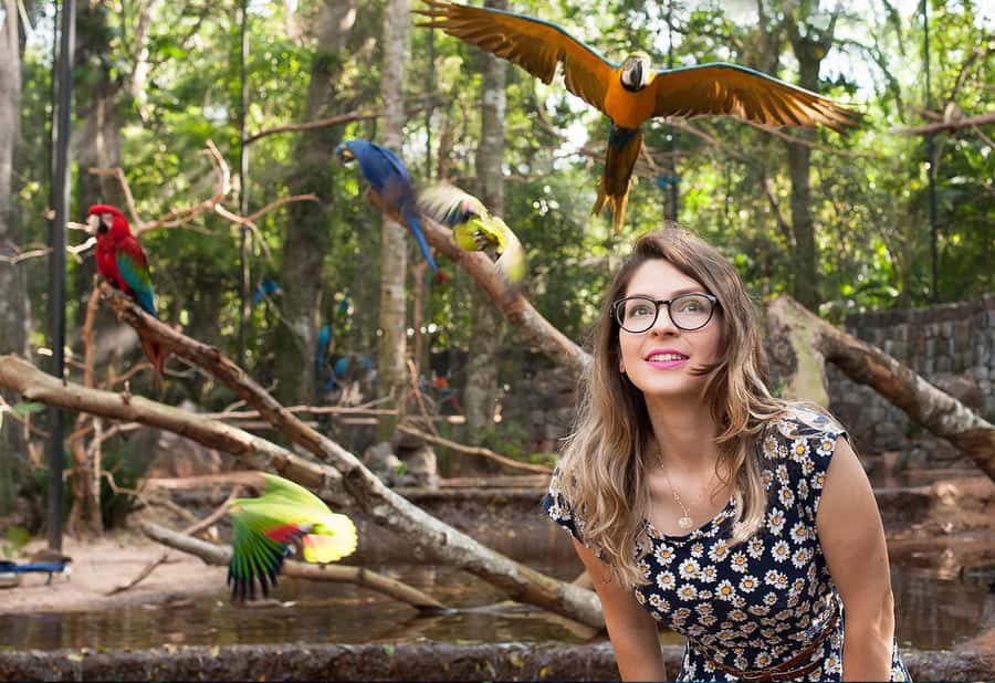 Foz do Iguaçu: Bird Park Tour with Tickets - Practical details before you go
