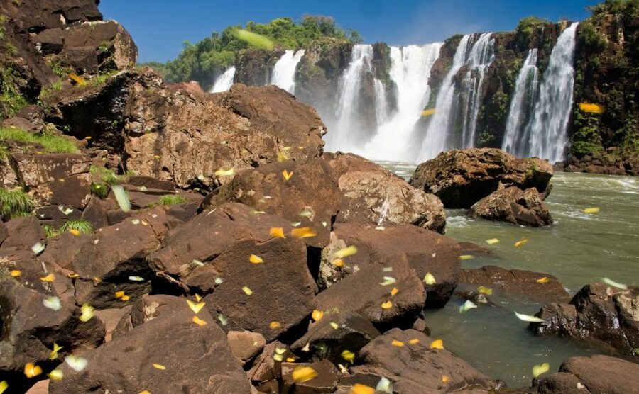 Foz do Iguaçu: Brazilian Side of the Falls - Is $80 a fair price?
