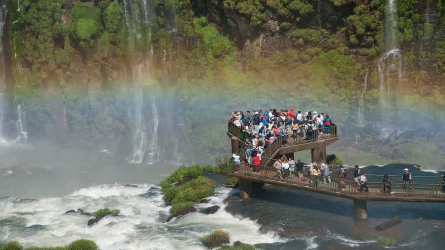 Foz do Iguaçu: Brazilian Side of the Falls + Bird Park - The Bird Park comes first for a slower start