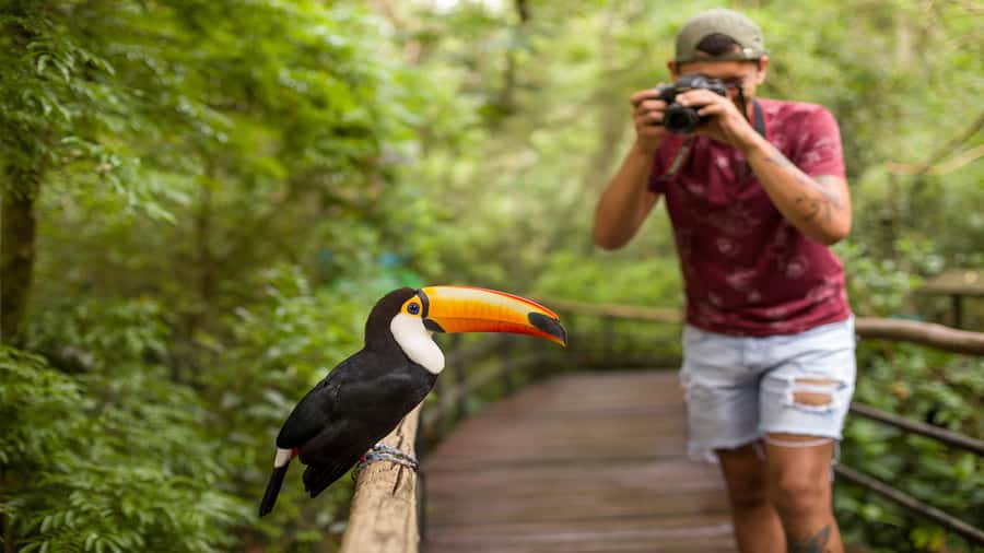 Foz do Iguaçu: Brazilian Side of the Falls + Bird Park - Is $50 good value?
