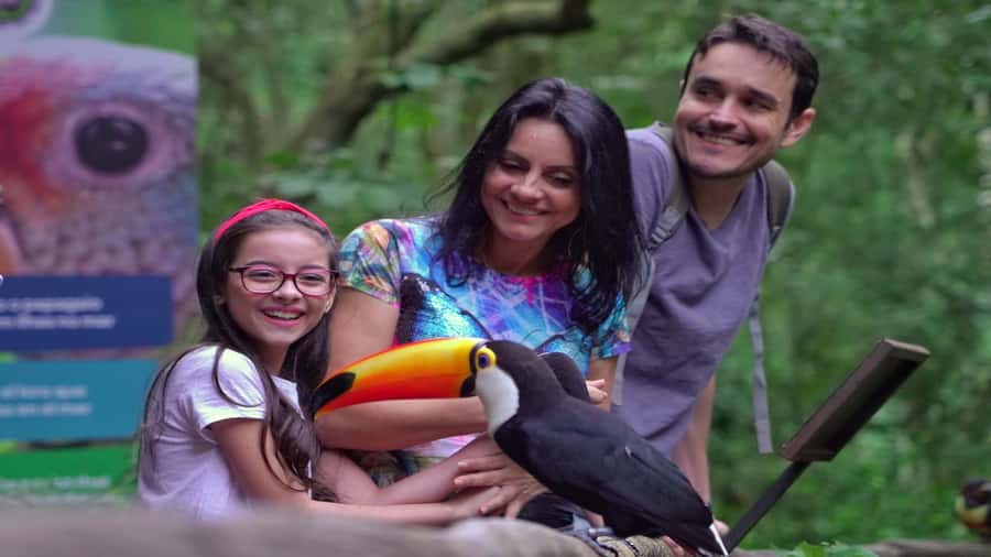 Foz do Iguaçu: Brazilian Side of the Falls + Bird Park - Practical advice for a better visit
