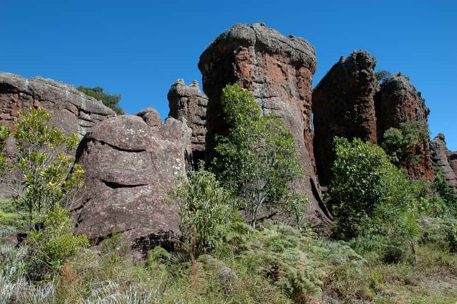 From Curitiba: Vila Velha State Park Full-Day Group Tour - Lunch and local shopping at Witmarsum Colony