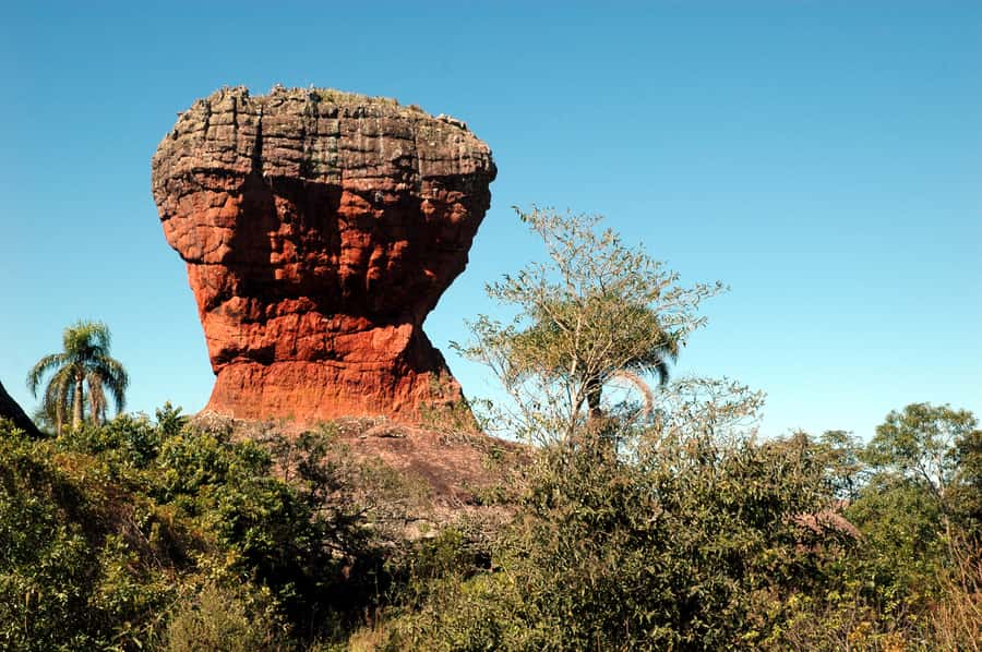 From Curitiba: Vila Velha State Park Full-Day Group Tour - Who should book this Vila Velha tour?