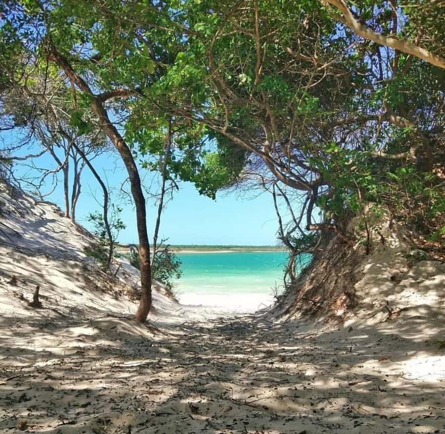 From Fortaleza: Day Trip to Jericoacoara - Relaxing at Lagoa do Paraíso