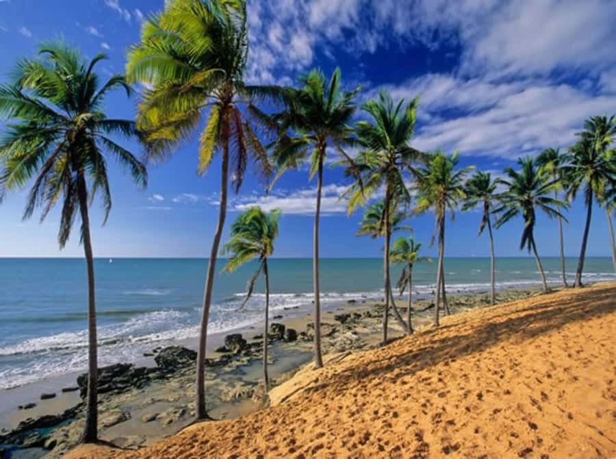 From Fortaleza: Lagoinha Beach Day Trip - The long road from Fortaleza to Lagoinha