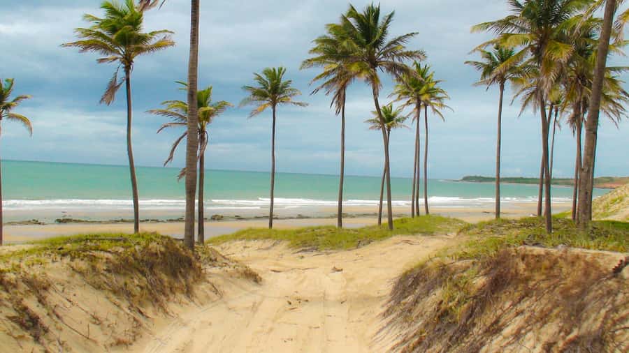 From Fortaleza: Lagoinha Beach Day Trip - The Lagoinha viewpoint is the day’s best photo stop