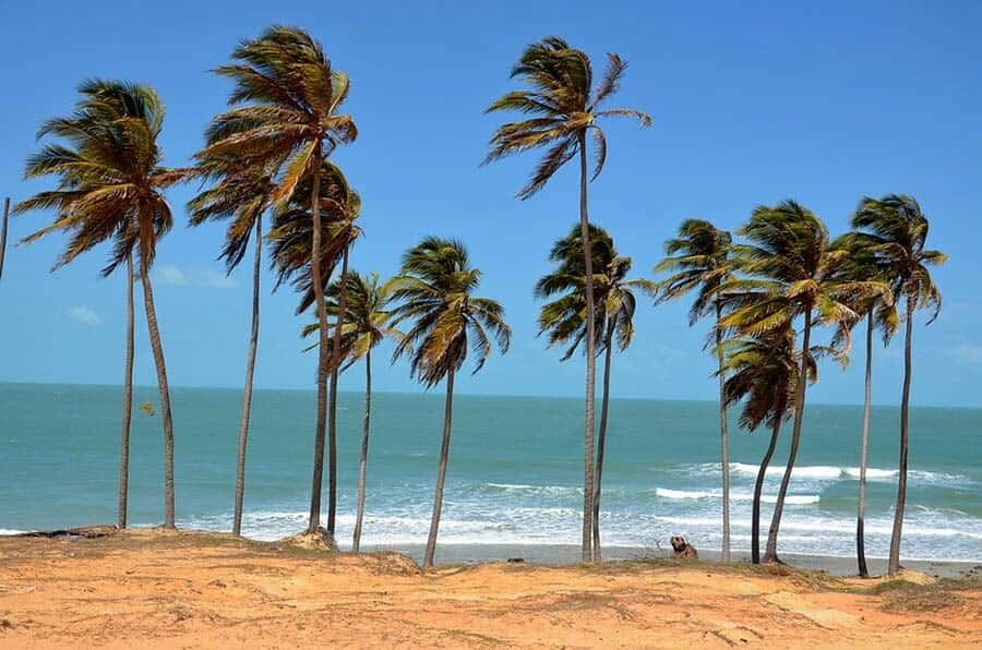 From Fortaleza: Lagoinha Beach Day Trip - Is $18 a good value for an 11-hour day?
