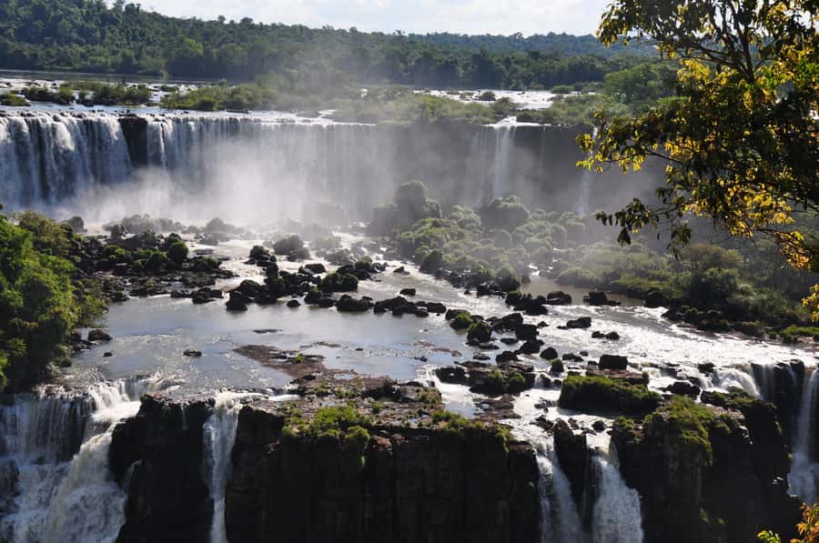 From Foz do Iguaçu: Brazilian Falls and Bird Park Tour - Why this Brazilian-side combination works