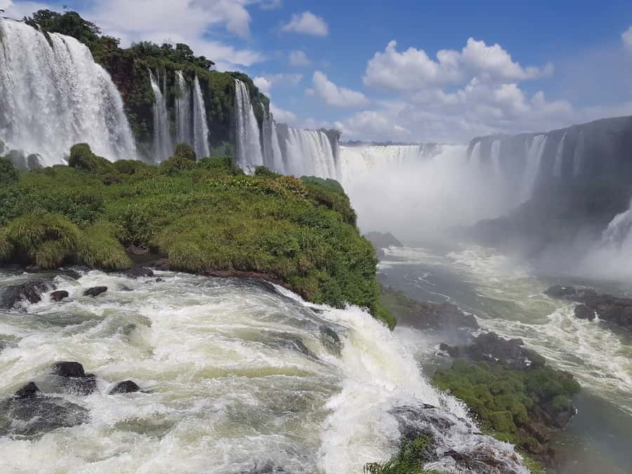 From Foz do Iguaçu: Brazilian Falls and Bird Park Tour - The Bird Park gives you a close start