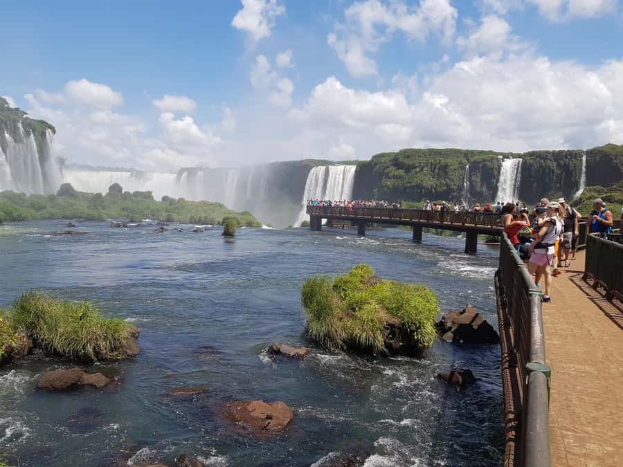 From Foz do Iguaçu: Brazilian Falls and Bird Park Tour - The Brazilian trail builds toward the falls