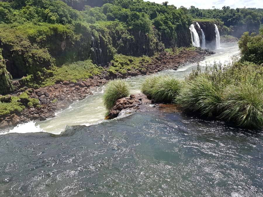 From Foz do Iguaçu: Brazilian Falls and Bird Park Tour - Should you book it?