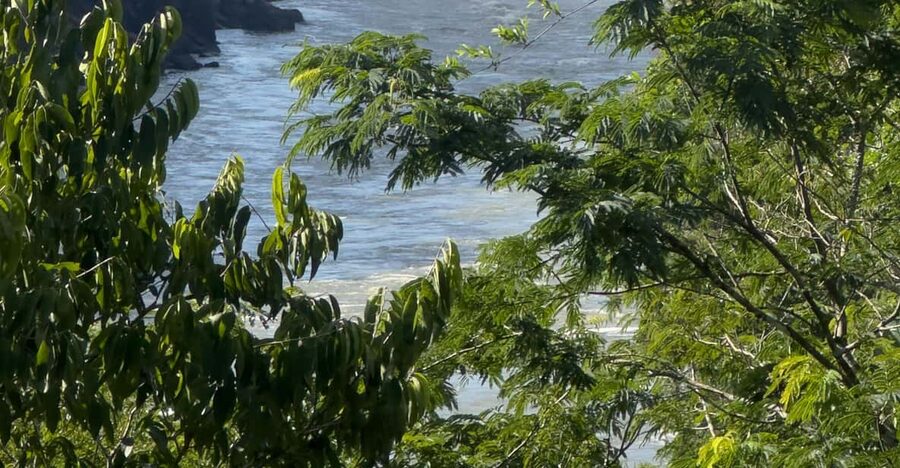 from Foz do Iguaçu: Private Tour on Argentinean Falls - Extra choices after the falls