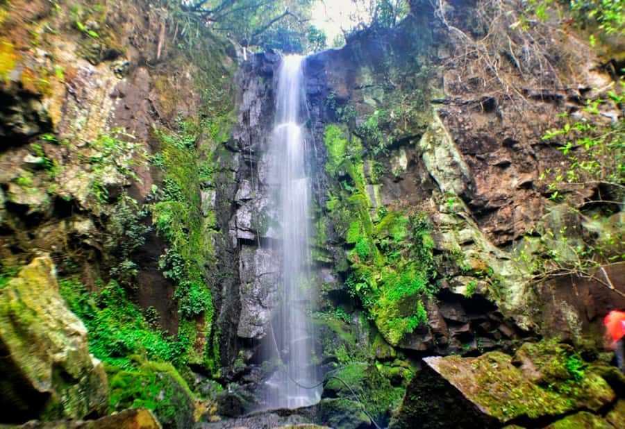 From Foz do Iguaçu: Secret Falls Adventure - Five waterfalls instead of one famous viewpoint