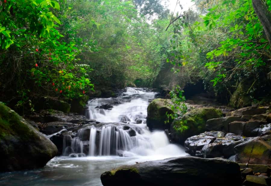 From Foz do Iguaçu: Secret Falls Adventure - The 30-minute ride from Rua Manêncio Martins