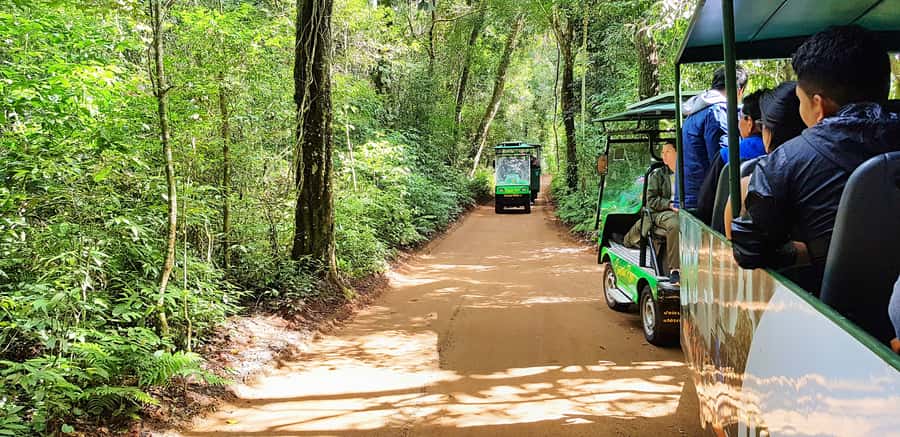 From Foz do Iguazu: Brazil Iguazu Falls & Macuco Safari Boat - Who should book this tour