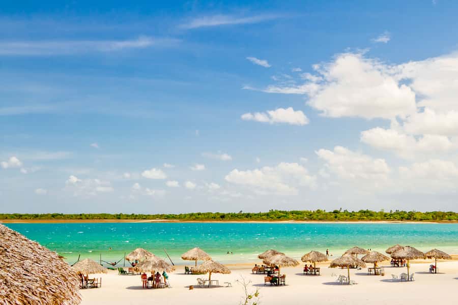 From Jericoacoara: Preá Beach and Paradise Lagoon Tour - The Tree of Laziness and Jericoacoara’s Coast