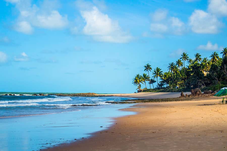 From João Pessoa: Full-Day Southern Coast Beaches Tour - Key points to know before you go