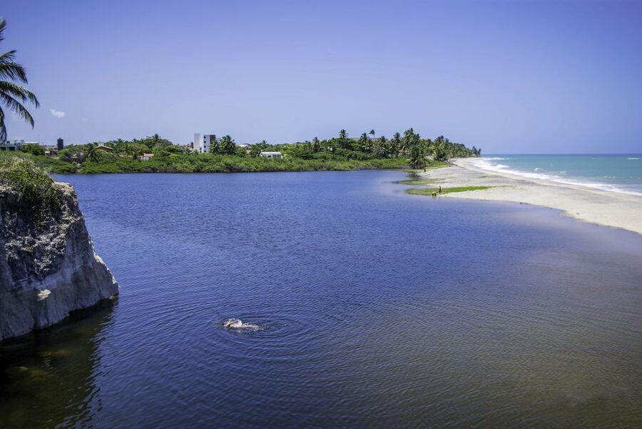 From João Pessoa: Full-Day Southern Coast Beaches Tour - Is $177 a fair price?